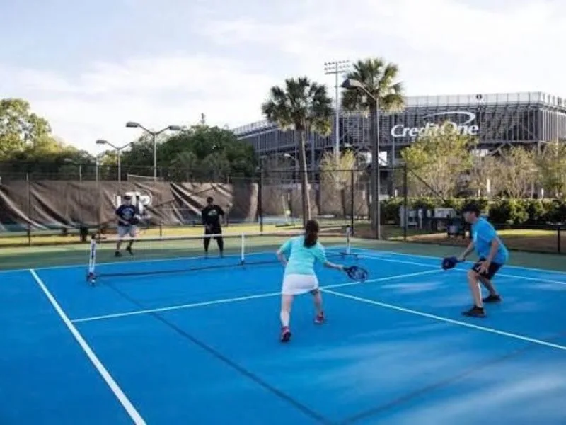vot pickleball cho nguoi moi choi cach chon vot de danh